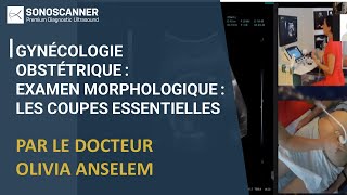 Webinar Gynécologie Obstétrique  Examen morphologique  Les coupes essentielles [upl. by Vange30]