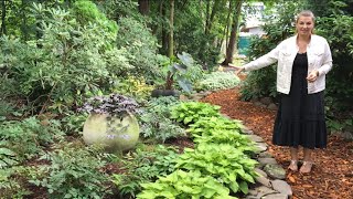 🌳 Garden Tour  Beautiful Shade Garden  Y Garden 🌳 [upl. by Chladek]