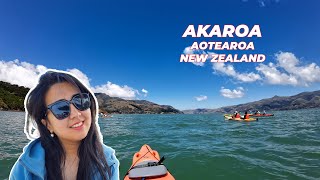 Akaroa Kayaking and Kaikōura Kahawai Catch and Cook [upl. by Kcirb]