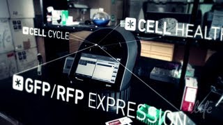 Tali® ImageBased Cytometer Demo Video [upl. by Henrique]