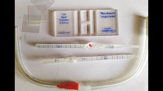 Haemocytometer Practical Lab [upl. by Lombardi]