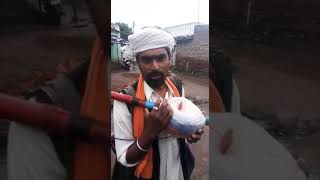 Part2  निमाड़ी संत सिंगाजी के हरबोले  Nimadi Harbola Sant  Nimadi Bhajan  निमाड़ी भजन [upl. by Alexina729]