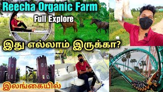 Reecha organic farm explorerவேற லெவல் யாழில் இப்படி எல்லாம் இருக்கா பகுதி 2 Reecha iyakachchi [upl. by Yarrum357]