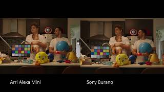 Phantom LUTs for Sony Burano  ARRI Alexa amp Film Emulation LUTs [upl. by Hailee]