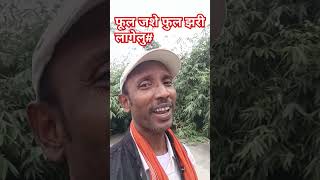 Phul jaise phuljhari lage lu chhath ghatiya par pari lage lureels song vadio olu raja [upl. by Bordiuk]