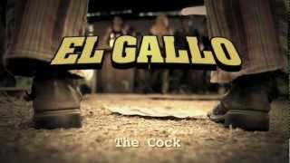 EL GALLO Official Video  Vivanativa  Lunatica Productions [upl. by Ronnie]