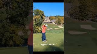 Same golf shot every year for 5 straight years [upl. by Vins]