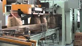 Automatic Bagging Machine [upl. by Morten448]