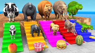 Cow Elephant Lion Gorilla TRex Choose the RIGHT Animal ESCAPE ROOM CHALLENGE Animal Cage Game [upl. by Neehs]