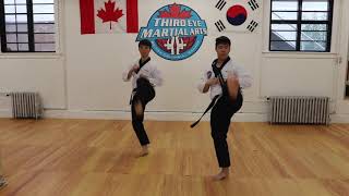 POOMSAE 3 Instructional [upl. by Phillis302]