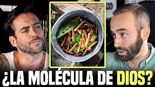 Científico experto en drogas explica la AYAHUASCA de forma realista y sin misticismo [upl. by Atsyrc]