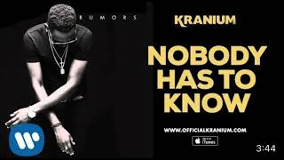 Kranium Nobody has to know fast [upl. by Garlan]