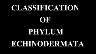 Echinoderms classification [upl. by Aguayo]