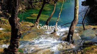 The Book of Genesis  New King James Version NKJV  Theatrical Audio Bible [upl. by Marston]