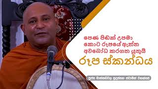 රූපස්කන්ධය  Most Ven Mankadawala Sudassana Thero [upl. by Anitrak]