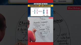 Chromosome Vs Chromatids neet2025 nursing cell [upl. by Laniger]