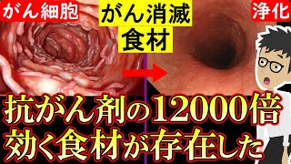 【科学的根拠あり】がん細胞を消滅させる食べ物5選！癌の増殖・転移を阻害【悪性新生物｜すい臓がん｜大腸がん｜胃がん｜原因】 [upl. by Etnoel568]