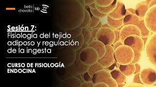 Fisiología del tejido adiposo y regulación de la ingesta [upl. by Renfred]