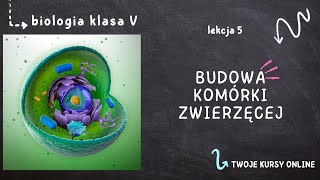 Biologia klasa 5 Lekcja 5  Budowa komórki zwierzęcej [upl. by Eenert]