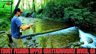 Trout Fishing Georgias Upper Chattahoochee River [upl. by Arika702]