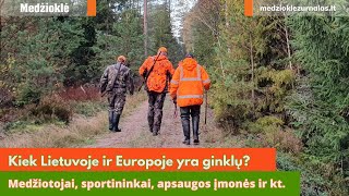 Kiek Lietuvoje ir Europoje yra ginklų ir kas turės mokėti mokestį už ginklų neturėjimą [upl. by Schecter]