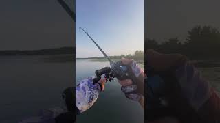 listen to the “music” addicted to finding bass under lotus！fishing fish largemouthbass [upl. by Ardnik]