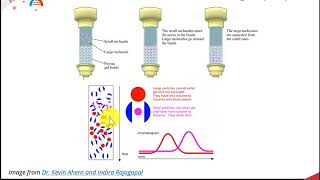 CH450 Chapter 31 Protein Purification [upl. by Hoopes6]