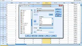 IBM SPSS Statistics를 활용한 로지스틱 회귀모형 분석 [upl. by Eecyaj568]