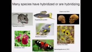 Schumer Assortative mating and hybrid incompatibility in natural hybrid populations [upl. by Acirt]