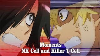 Killer T Cell and NK Cell【 Hataraku Saibou Episode 6  7 】 [upl. by Isborne18]