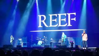 Reef Glasgow Hydro 10th November 2024 [upl. by Phelan223]