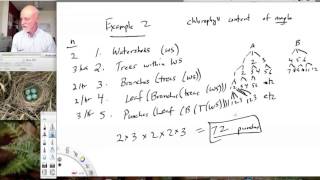 Lesson32 Nested Designs [upl. by Aisanat]