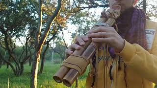 Native American Flute in F [upl. by Ahtis39]