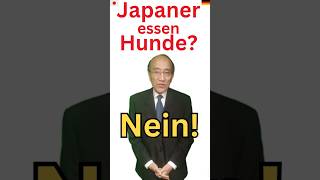 Was essen Japaner Vorurteile gegen Japans Essgewohnheiten Verwechslung mit anderen Ländern shorts [upl. by Uzzia]