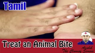 How to Treat an Animal Bite  First Aid in Tamil [upl. by Ojyram]