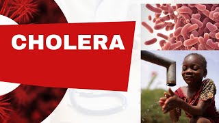 CHOLERA SYMPTOMS amp TREATMENT WHAT YOU NEED TO KNOW 2024 [upl. by Ellison]