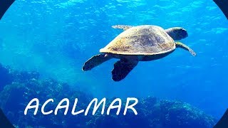 Música Relaxante e Fundo do Mar 🎵 Acalmar a Mente [upl. by Nagear996]