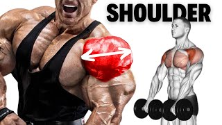 how to build bigger shoulder workout [upl. by Atiuqiram81]