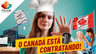 AS 5 PROFISSÕES QUE MAIS CONTRATAM NO CANADÁ [upl. by Jae630]