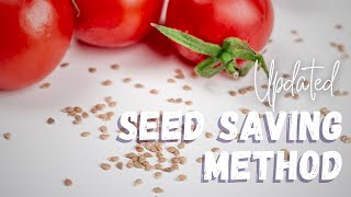 UPDATED Seed Saving Method  Saving Tomato Seeds the Quick Way No Fermenting [upl. by Leena]