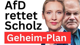 Keine Neuwahlen Scholz Vertrauen aussprechen Merz stoppen [upl. by Buehler342]