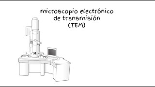 Microscopio electrónico de transmisión – TEM [upl. by Eznyl]