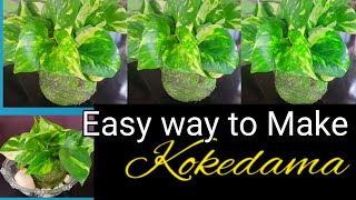 Easy way to Making Kokedama  Money plants disply method [upl. by Mortensen659]