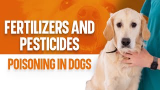 Fertilizers and Pesticides Poisoning in Dogs – Symptoms amp Causes [upl. by Aicillyhp237]