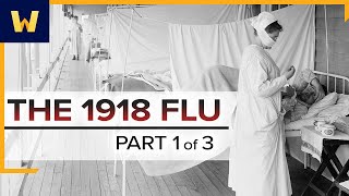 The 1918 Spanish Flu—A Conspiracy of Silence  Part 1 of 3 [upl. by Leonora286]