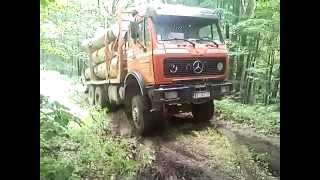 Mercedes Benz timber truck [upl. by Elvah]