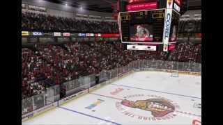 All NHL04 Rebuilt Season 20152016 Arenas [upl. by Enilada]