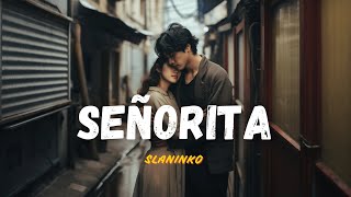 Senorita  Slowed amp Reverb  Slaninko [upl. by Enihpets]