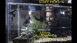 Staff Picks Podcast  A Fish Called Wanda [upl. by Omlesna109]