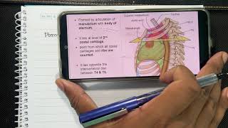 Sternal angleThorax Fcps part 1 surgery [upl. by Yarvis]